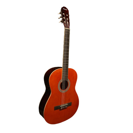 Leandro 4/4 Standart Klasik Gitar LCG 110 Orange