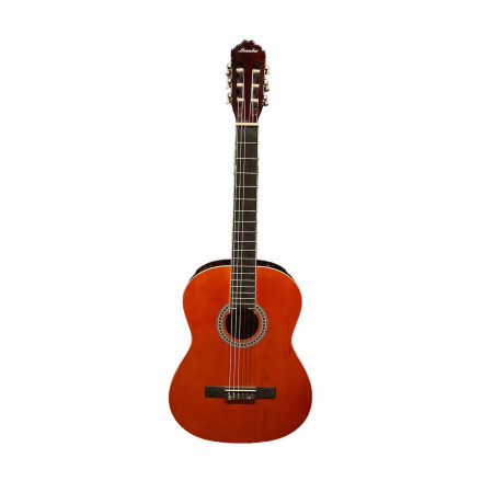 Leandro 4/4 Standart Klasik Gitar LCG 110 Orange